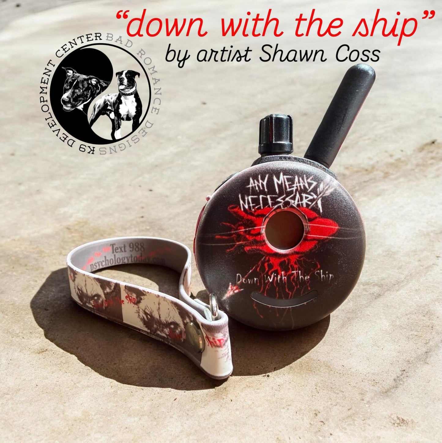 UV Printed E-Collar Remote Skin “Down With The Ship”